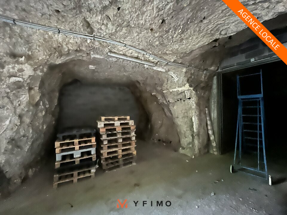 VENTE ENTREPÔTS ET LOCAUX D'ACTIVITÉ BOUGIVAL (78380) | 78_1359 | photo 2
