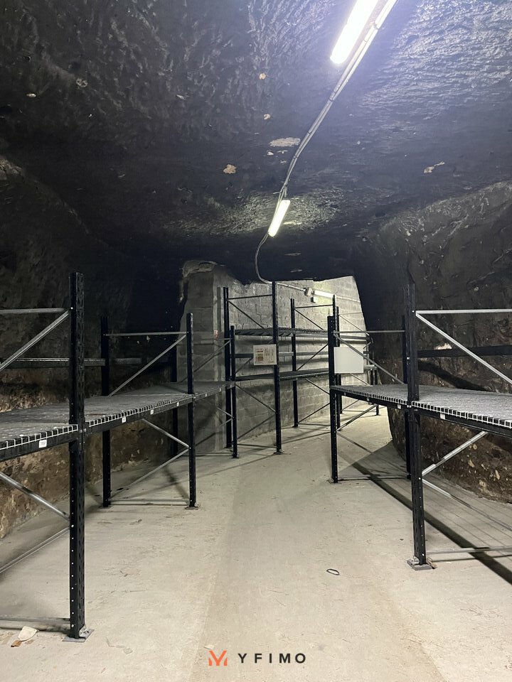 VENTE ENTREPÔTS ET LOCAUX D'ACTIVITÉ BOUGIVAL (78380) | 78_1359 | photo 6